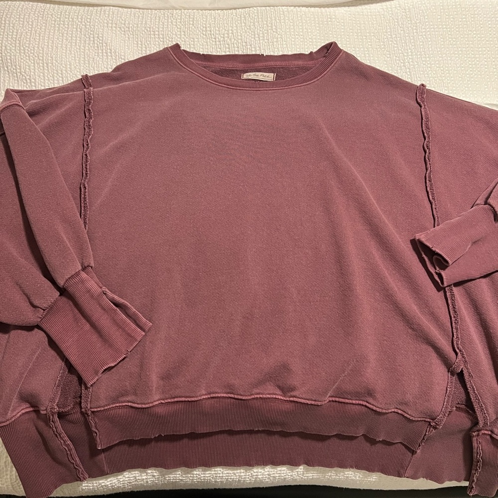Like-new Free People We The Free Camden Crewneck Sweatshirt